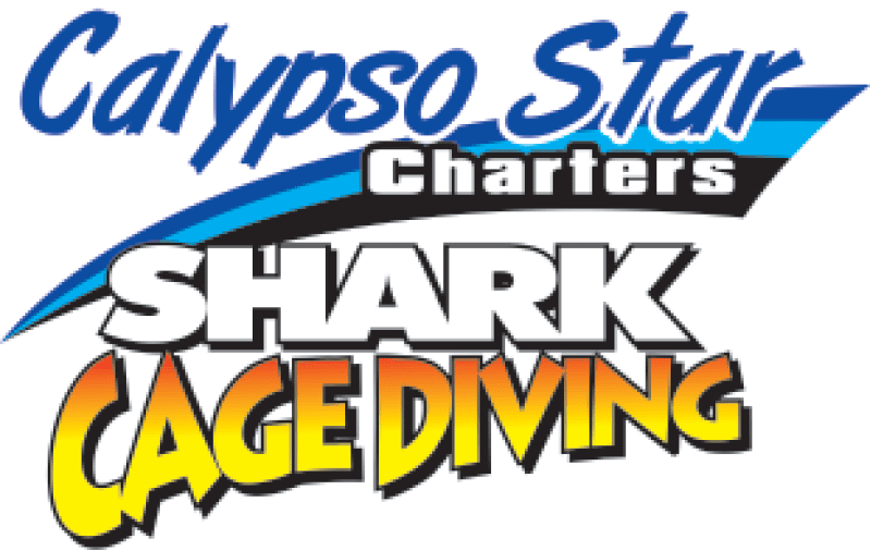 Calypso Star Charters
