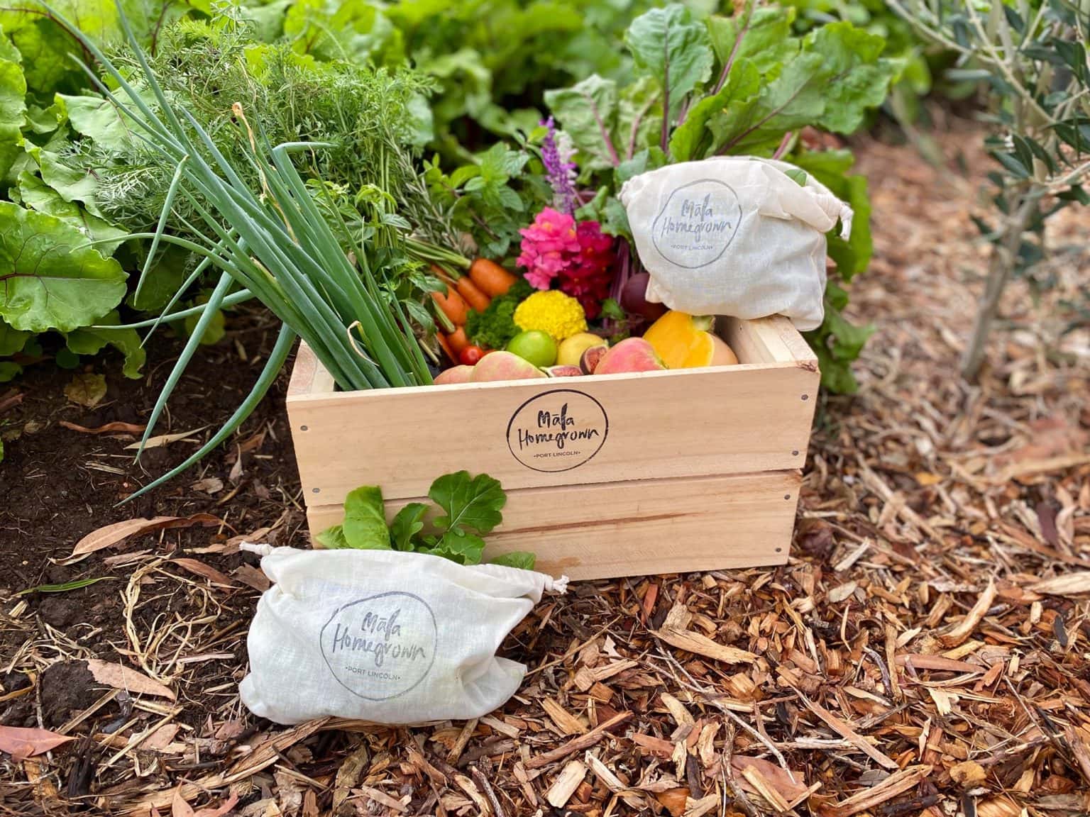 Farmer Market Port Lincoln, South Australia