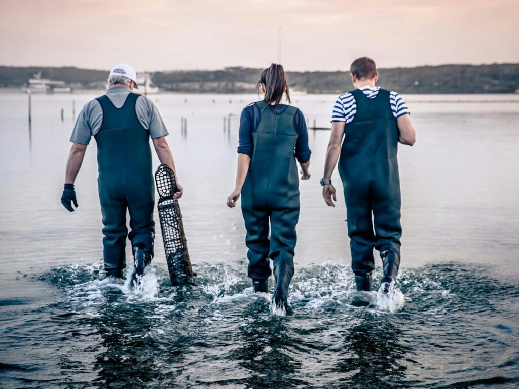 Oyster Farm Tours