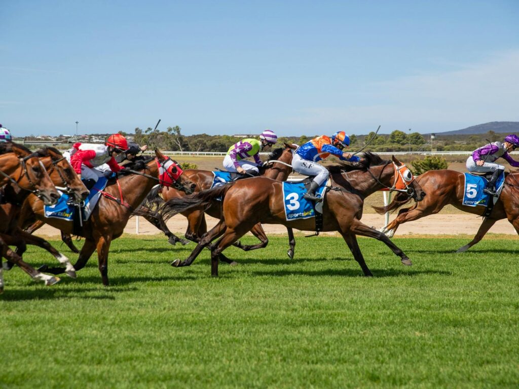 Thoroughbred horses mid race at Port Lincoln Racing Club