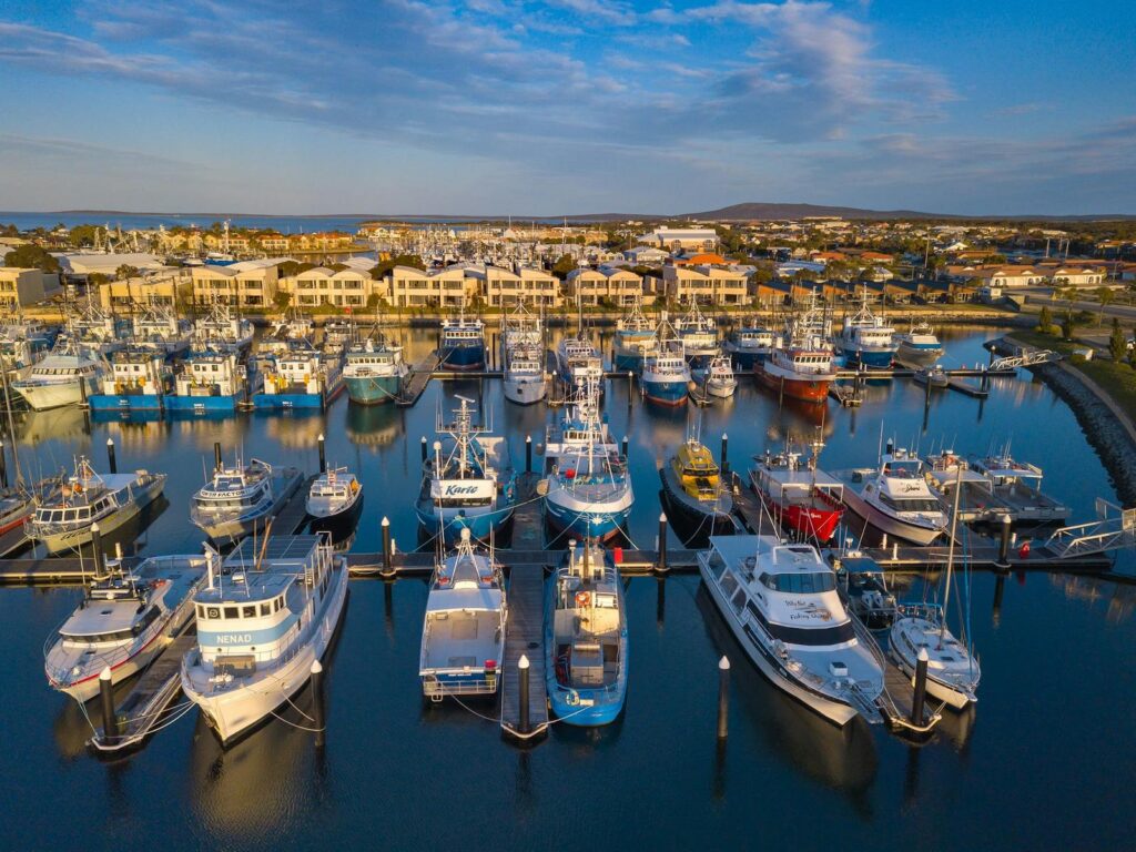 Boats in the marina