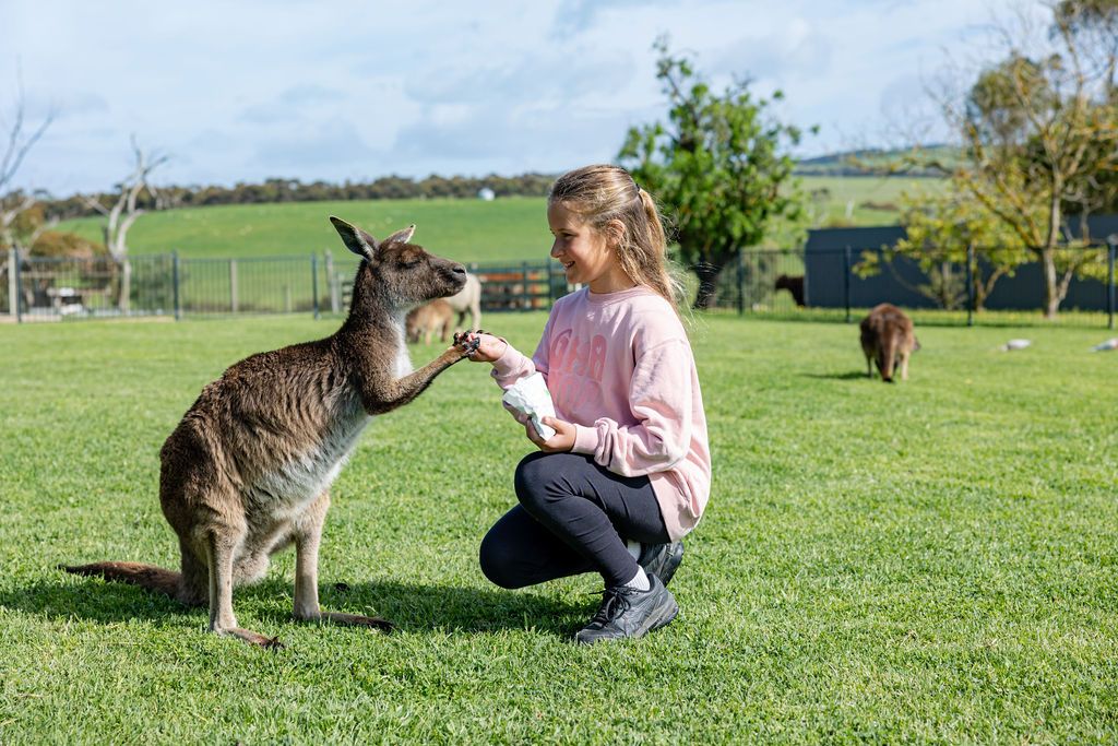 Glen Forest Tourist Park