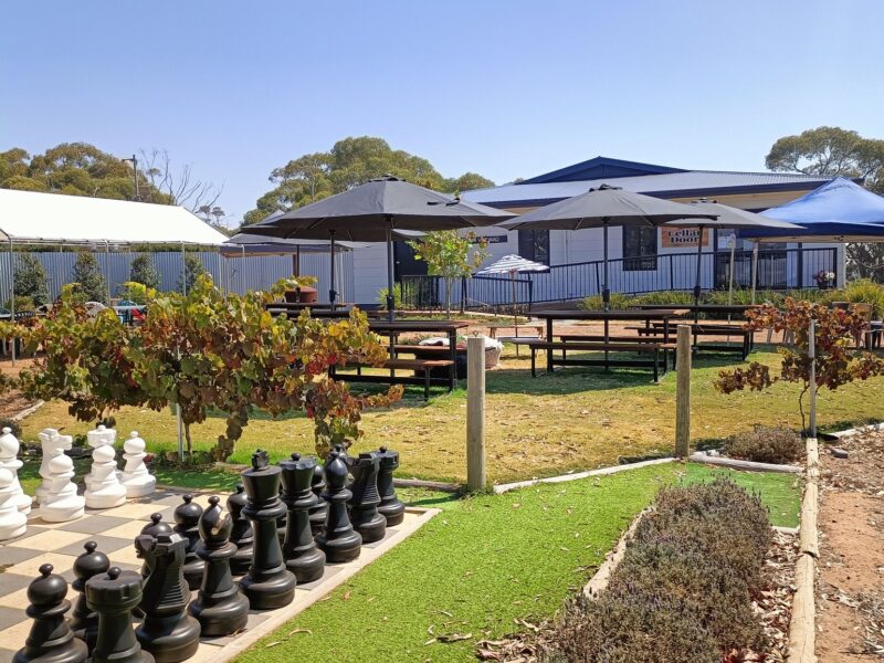 481168303 620339737410754 3134802234314483477 N