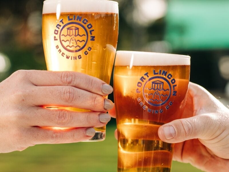 519585390 1328592995933218 7396419444604060857 N