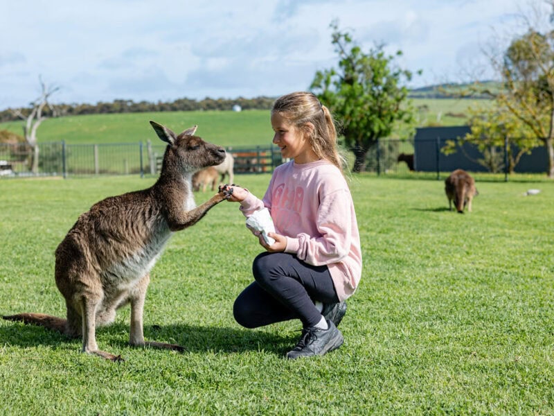 Glen Forrest Mikaela Frick Photography 024