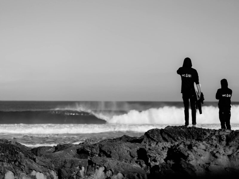 507054885 9313504098751933 8506776920685306117 N