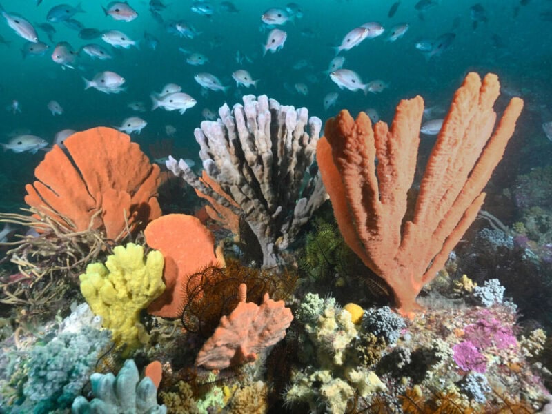 Our-Place-Our-Future