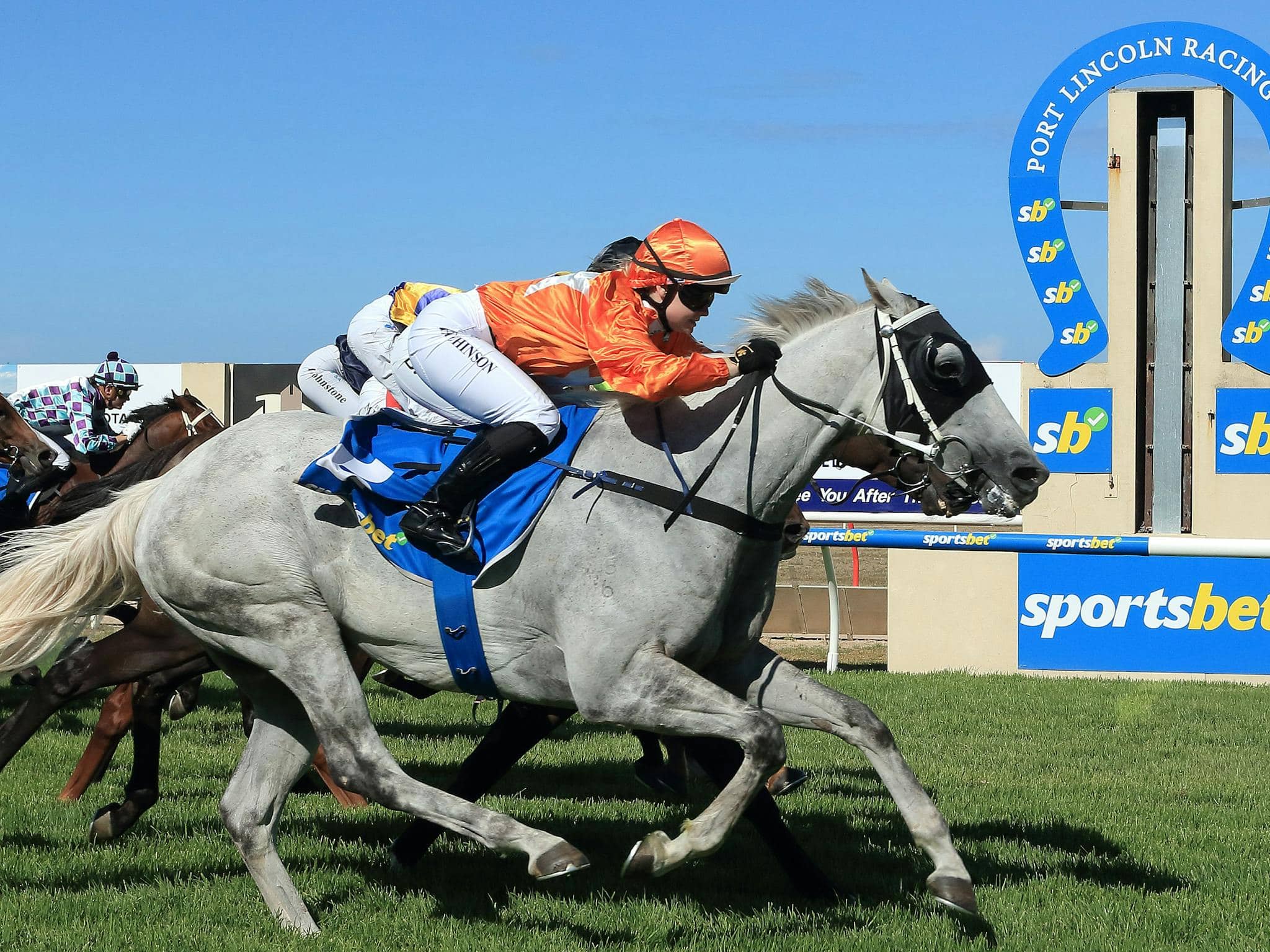 2026 Port Lincoln Cup Winner - Excelman